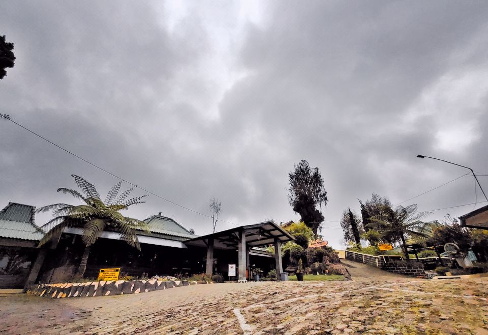 3. 브로모 페르마이..