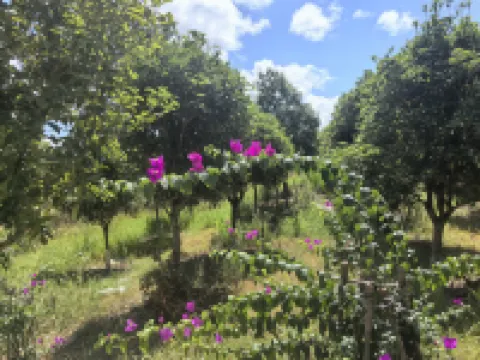 Yutian Farm