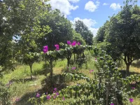 Yutian Farm Hotel a Kaiyang