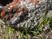 Shanyou Lake Resort Hotel