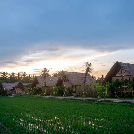 Pondok Mawas