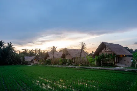 Pondok Mawas Отели рядом с достопримечательностью «Night At The Zoo»