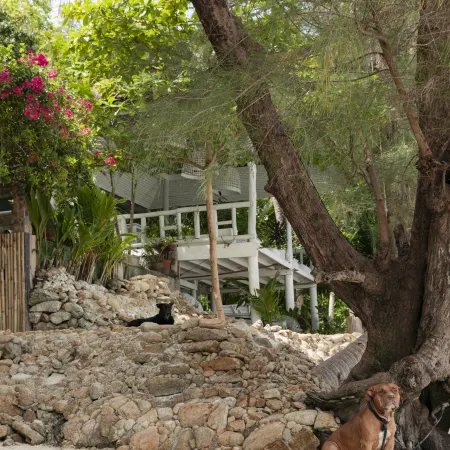 Coconut Beach Bungalows