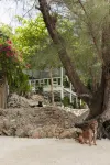 Coconut Beach Bungalows
