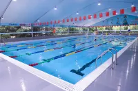 Red Forest Hotel - Pools