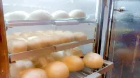 Hi Yes Hotel Hualien - breakfast