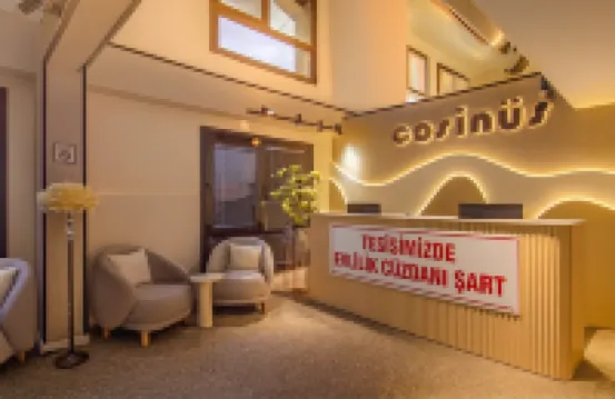 Cosinus Airport Hotel Отели в г. 