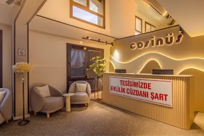 Cosinus Airport Hotel Отели в г. 