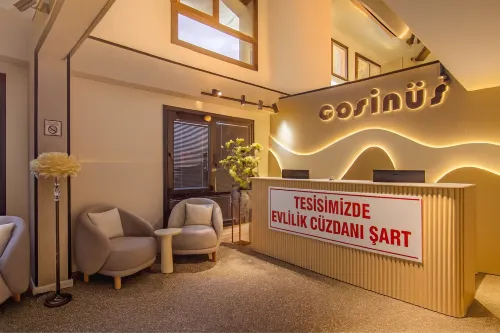 Cosinus Airport Hotel