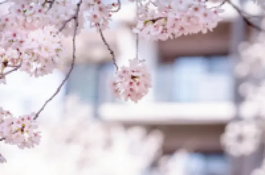 ATAMI KAKUREZATO（Atami Retreat）