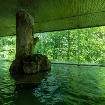 KAMENOI HOTEL TAZAWAKO