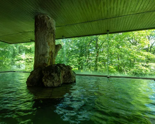 KAMENOI HOTEL TAZAWAKO Hotels in Semboku