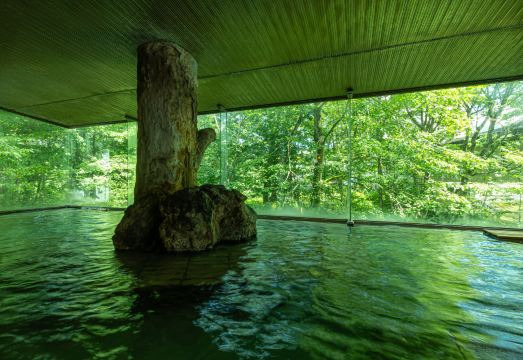 Kamenoi Hotel Tazawako