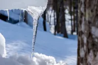 COCO VILLA NISEKO - Mountain view