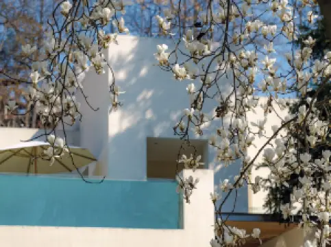 武漢樾和林泉白玉蘭民宿