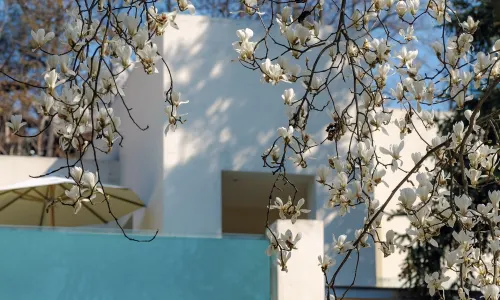 武漢樾和林泉白玉蘭民宿