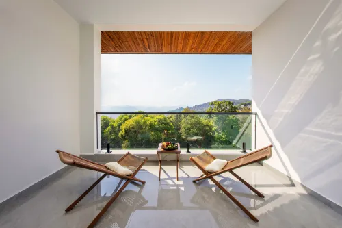 Jingmai to the Cloud · Man | Yunmu · Bulang Cultural Homestay (Mangjing King Bee Tree)