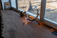 Терь - С баром