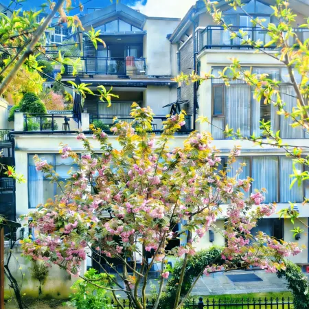 Jingranyuan Mountain Residence