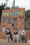 Jerry's House - 로맨틱