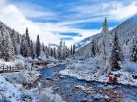 Yang Yuhade China's most beautiful Tibetan village 헤이수이 호텔