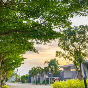 Seree Grand Resort