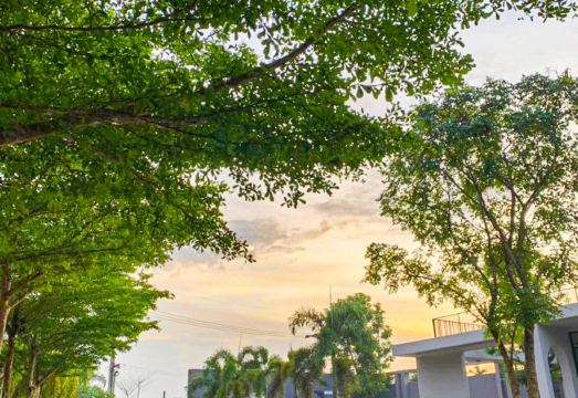 세레 그랜드 시설