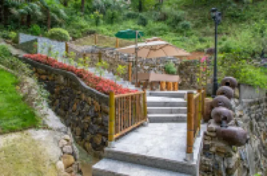 杭州臨安開門見山民宿 鄰近高原飛瀑的酒店