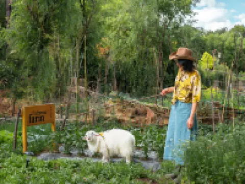 The Bivou Lijiang Hotels in Lijiang