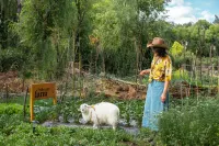 The Bivou 佖屋ホテル 束河四方街周辺のホテル