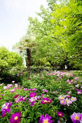 Laiwu Hotel Hotels near Shandong University of Finance and Economics (Laiwu Campus)