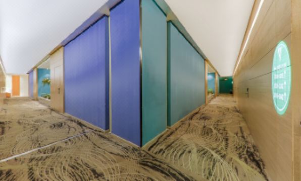 GreenTree Alliance Hotel (Shenzhen North Station)