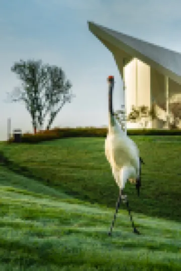 Xianhe Lake · Heming Mountain Residence Homestay (Heshengqiao East Station Branch)