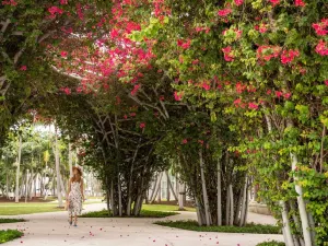 더 리츠칼튼 사우스 비치