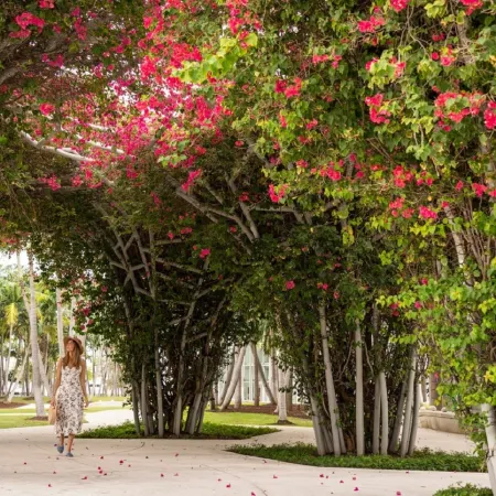 The Ritz-Carlton South Beach