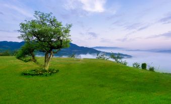 Chongqing Starlight B&B under the Hawthorn Tree