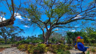 ホテル周辺 パシフィック アイランド クラブ グアムの写真