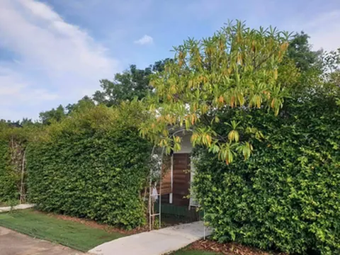 รูปภาพของไอวิว พาร์ค รีสอร์ท