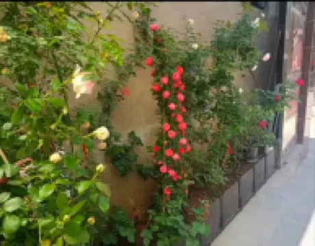 Weihui Mengyuan Homestay