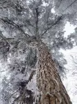 Yueshang Xiaolu | Mountain Forest Cloud Sea Snowfield Vacation Boutique Stay (Anji Jiangnan Tianchi) - Ocean View