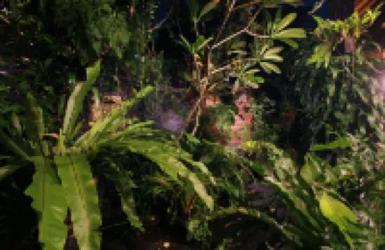 サリ ゴング ゲスト ハウス, ア トリシュラ コレクション