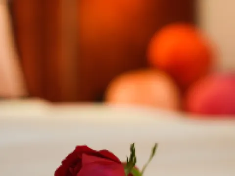 WANGFU BOLI HOTEL Hotels in Jinzhou