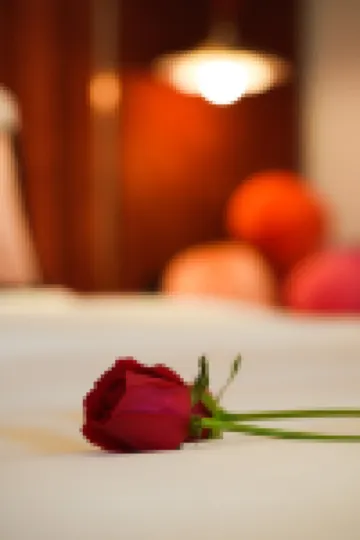 WANGFU BOLI HOTEL
