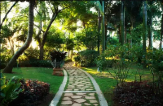 深圳大梅沙藍天全海景公寓 鄰近小梅沙海洋世界的酒店