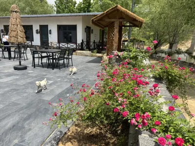 Xueyeshan Lakeju Homestay Hotels near Golden Beach