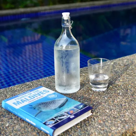 Mayfair Garden Resort