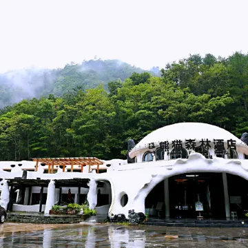 Panda Forest Hotel