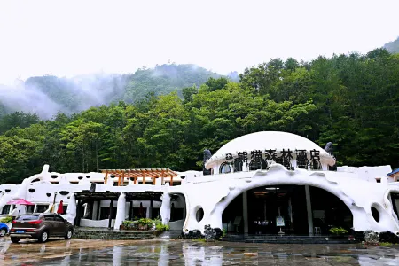 Panda Forest Hotel Отели рядом с достопримечательностью «Foping Panda Valley»