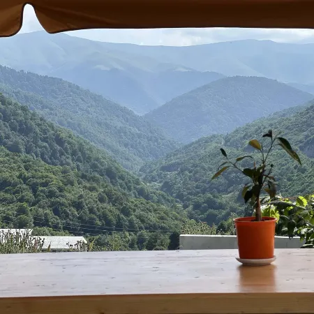 Motives Inn Dilijan
