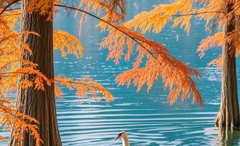 Mountain-Nestled View Resort Homestay (Banqiao Branch, Southern Anhui Sichuan-Line)